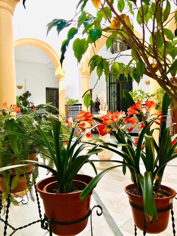 Fabuloso Loft En Centro Historico De Cordoba Con Parking Bajo Reserva Tendillas Mezquita-Catedral Eksteriør bilde